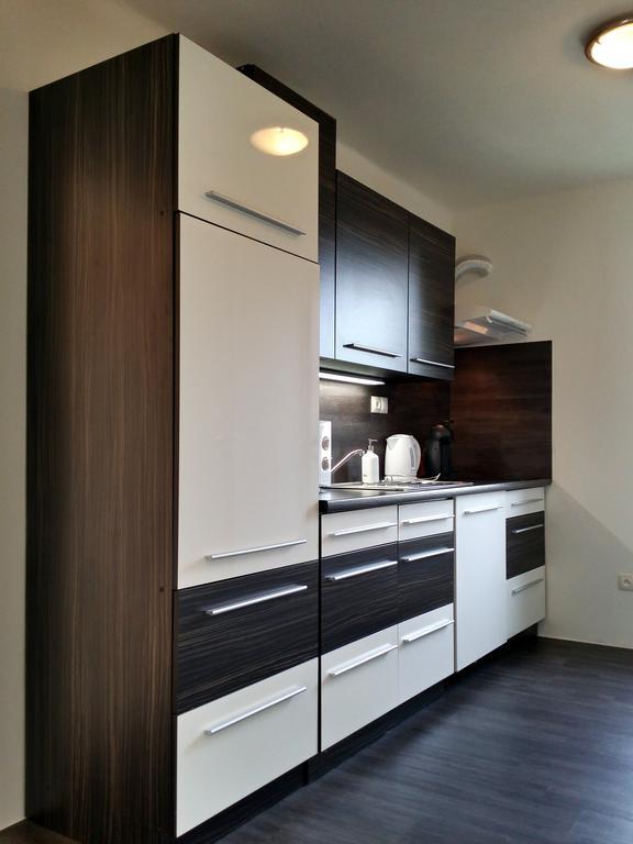 Apartman U Labe Apartment Nymburk Cameră foto